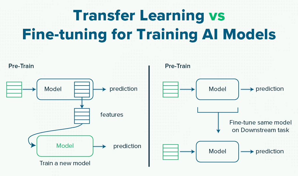 AI Model Training and Fine-Tuning